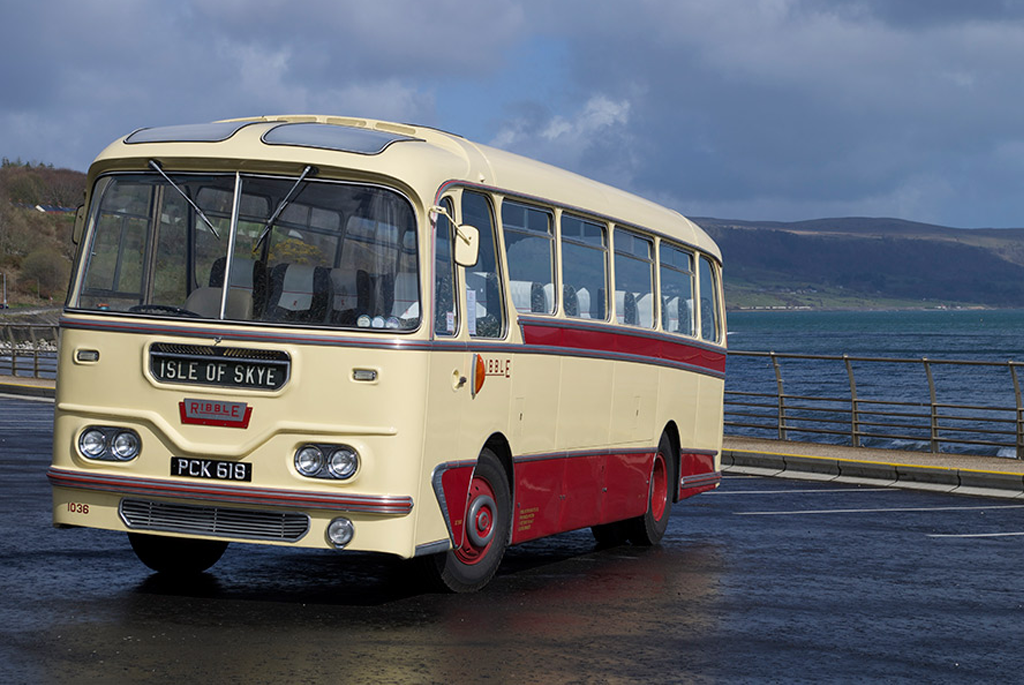 1036 Harrington Cavalier